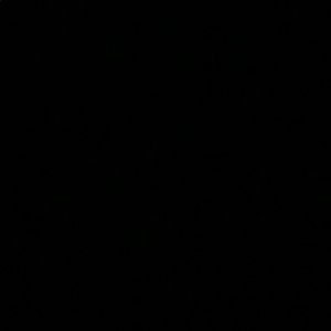 Meet your Posher, Will